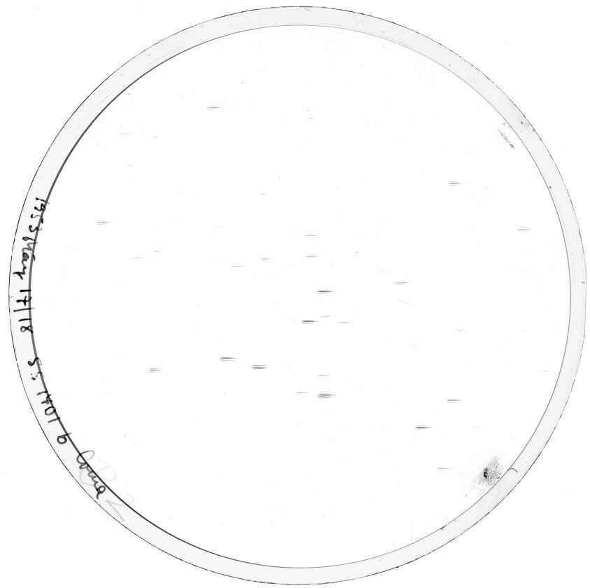 Plate preview