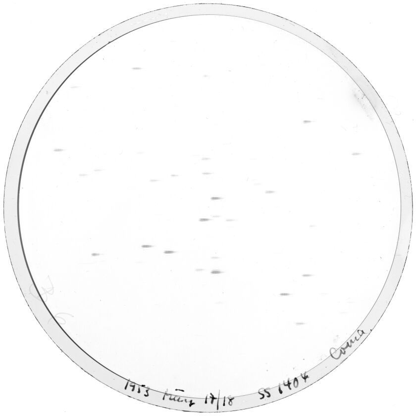 Plate preview