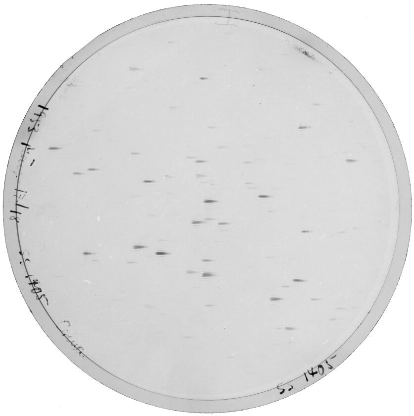 Plate preview