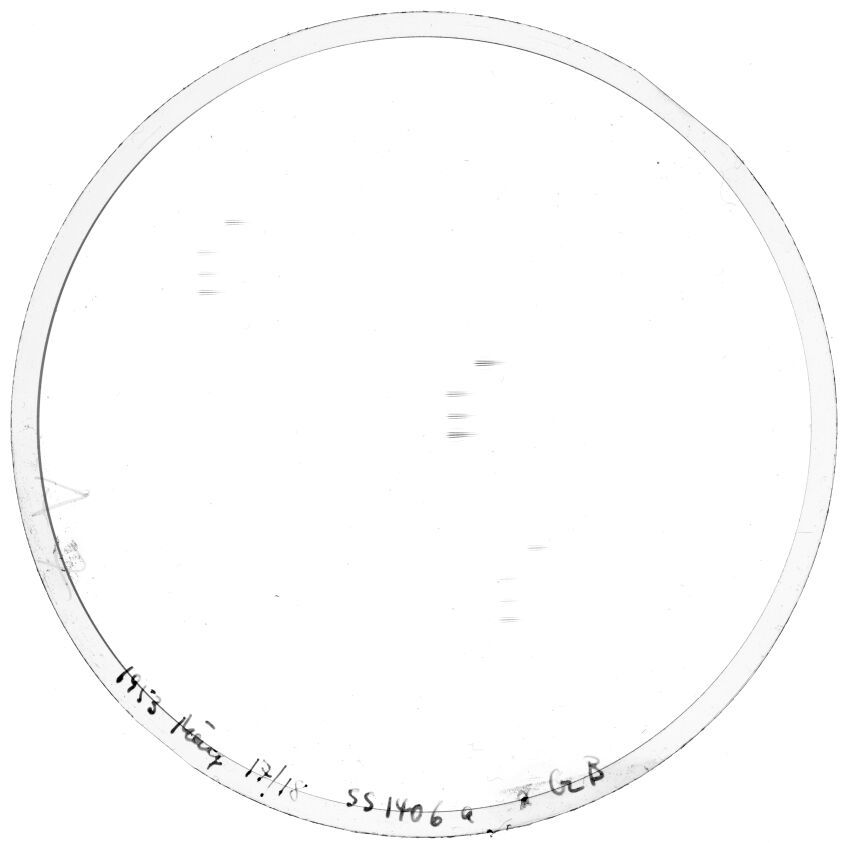 Plate preview
