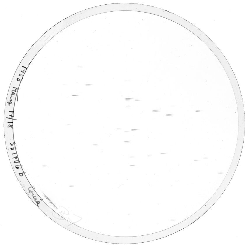 Plate preview