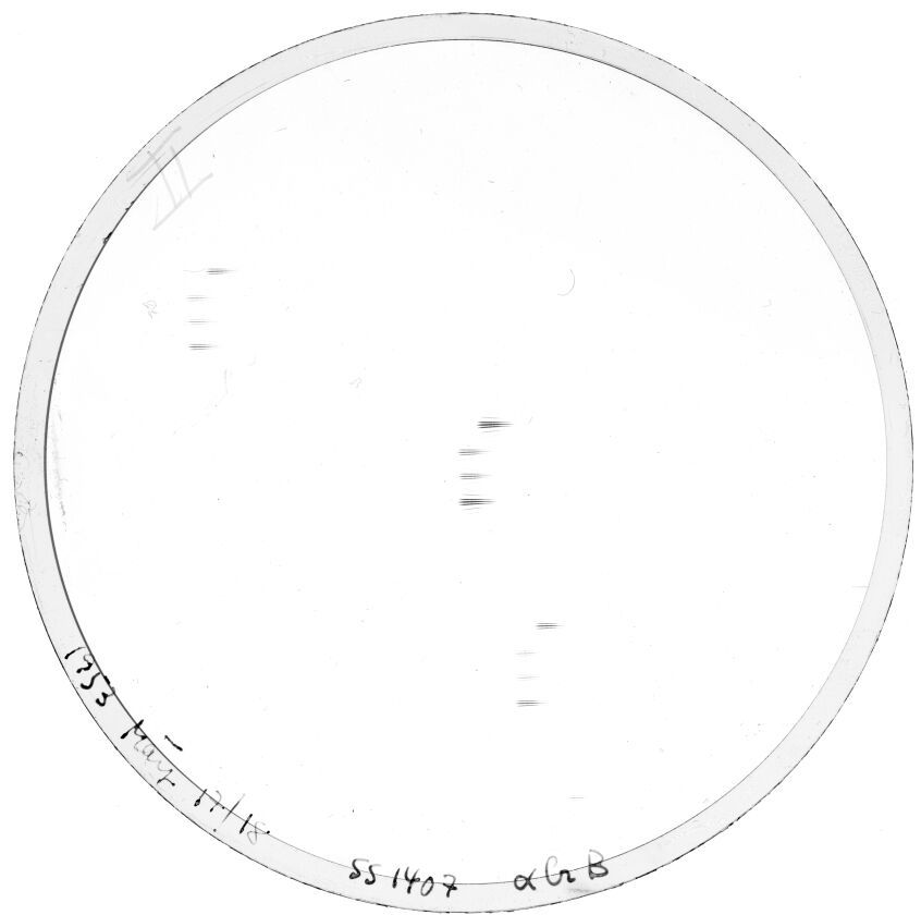 Plate preview