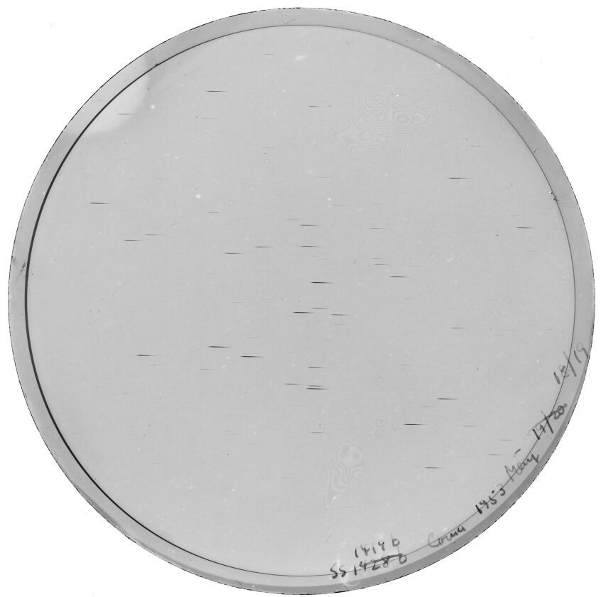 Plate preview