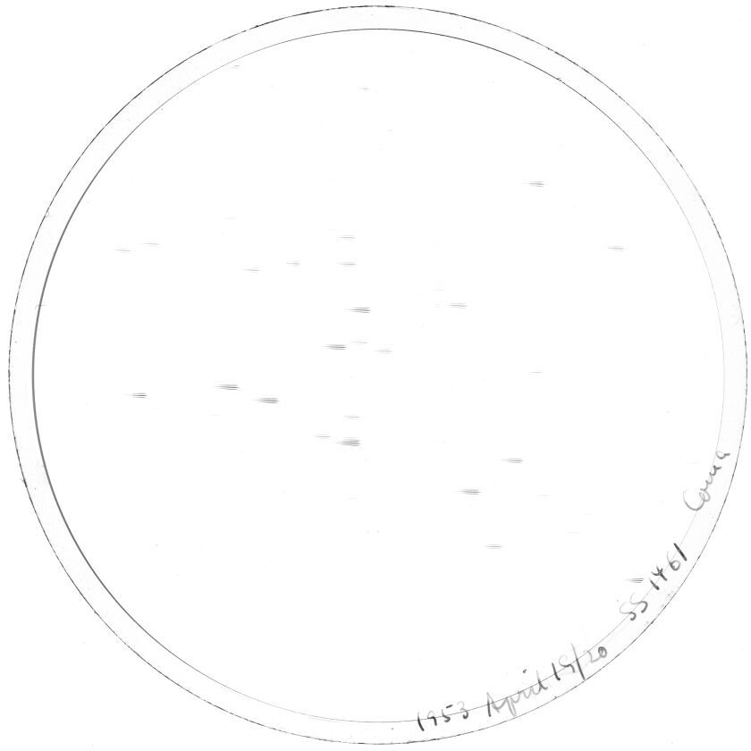 Plate preview