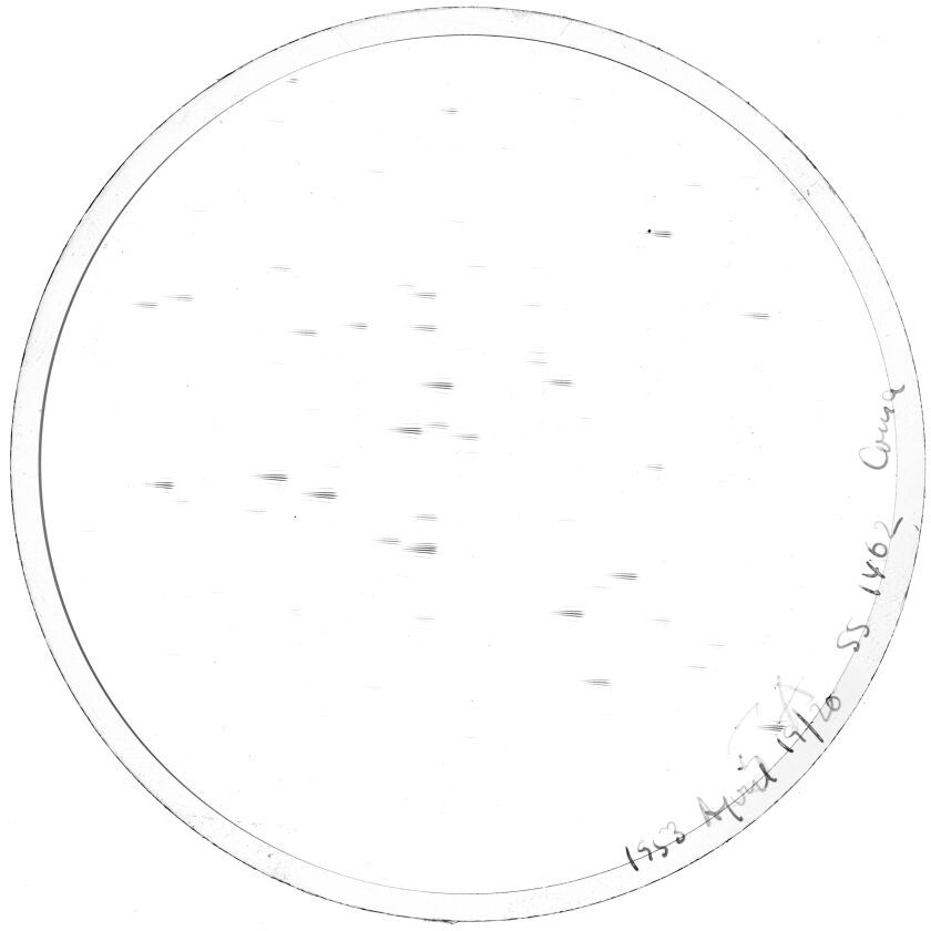 Plate preview