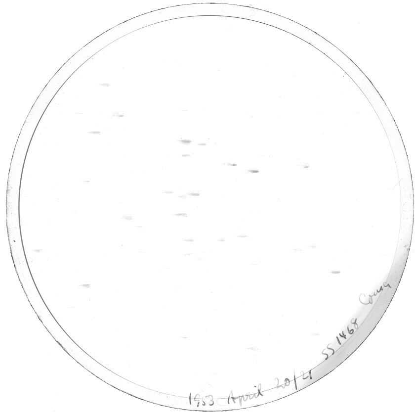 Plate preview