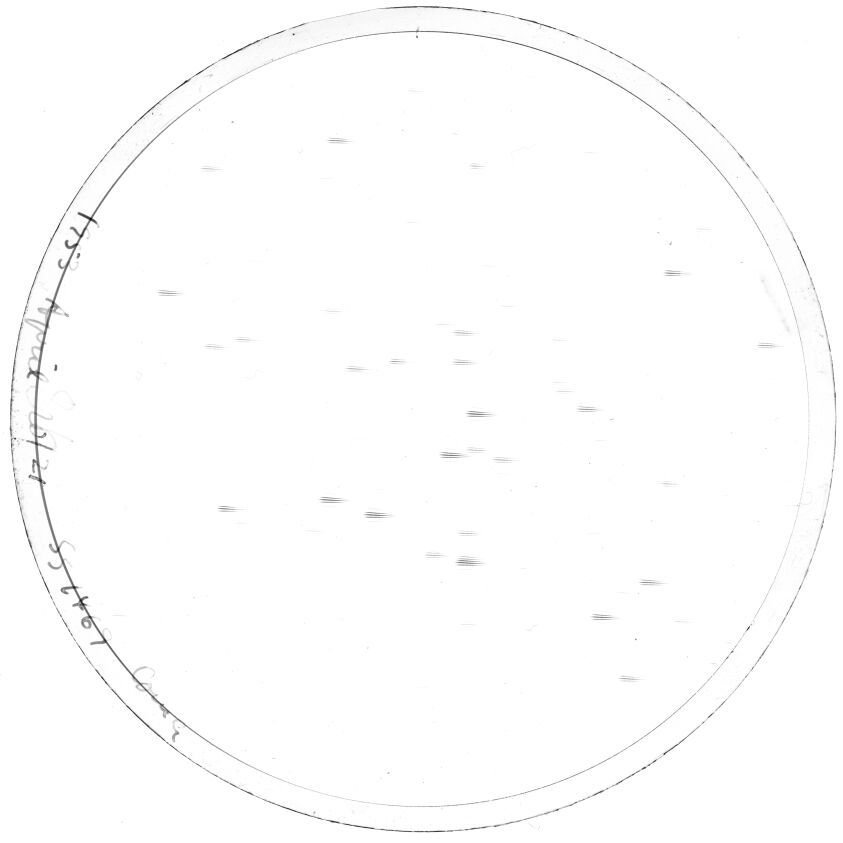 Plate preview