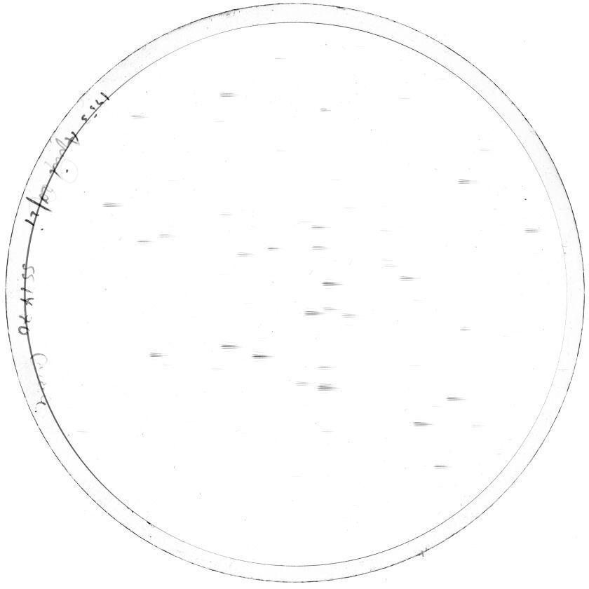 Plate preview