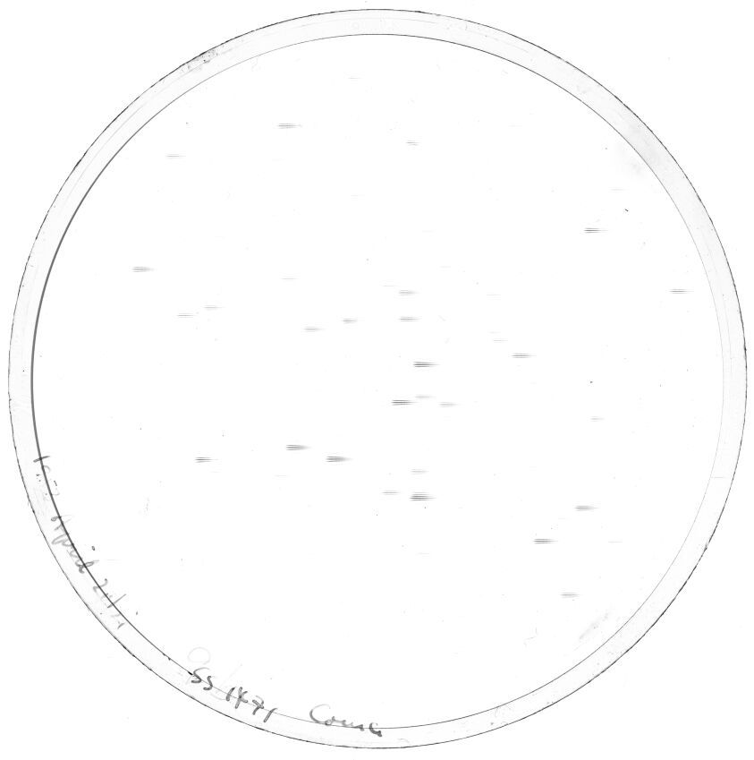 Plate preview