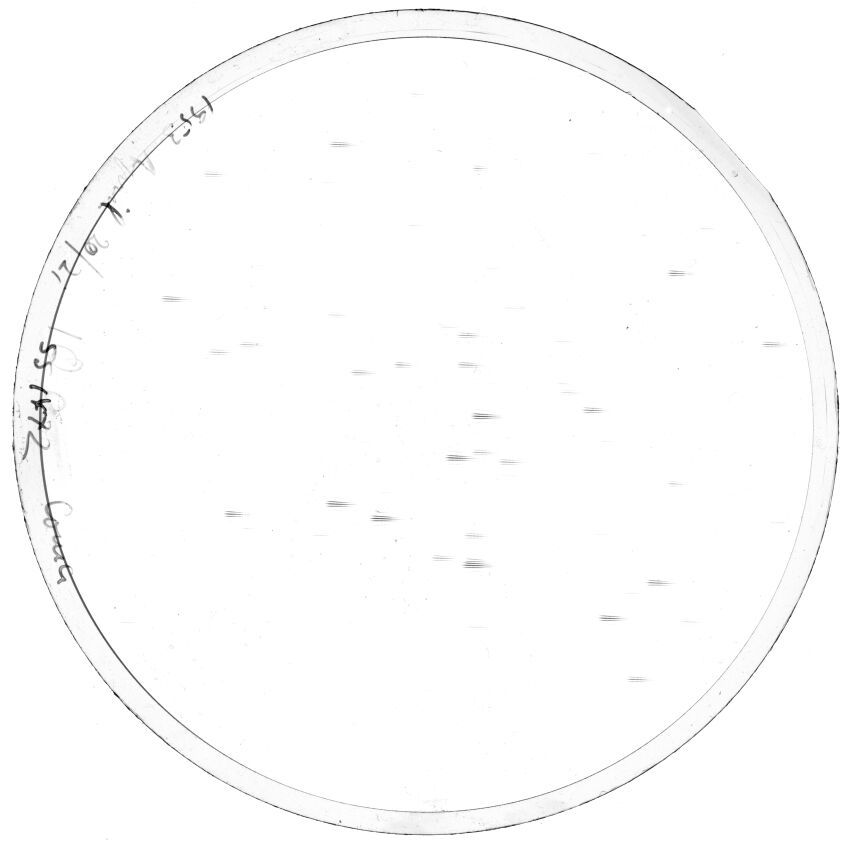 Plate preview