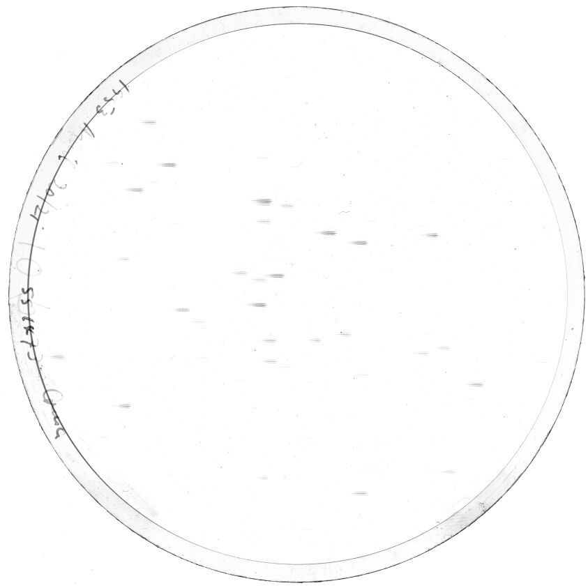 Plate preview
