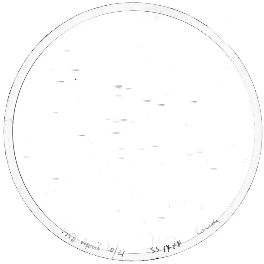 Plate preview