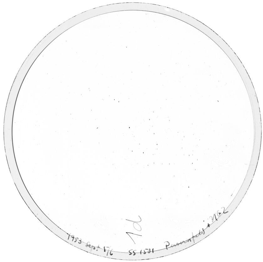 Plate preview