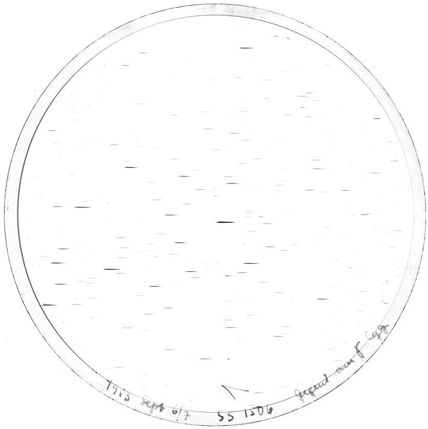 Plate preview