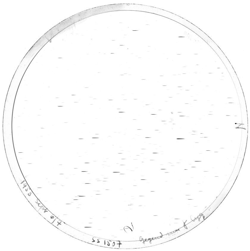 Plate preview