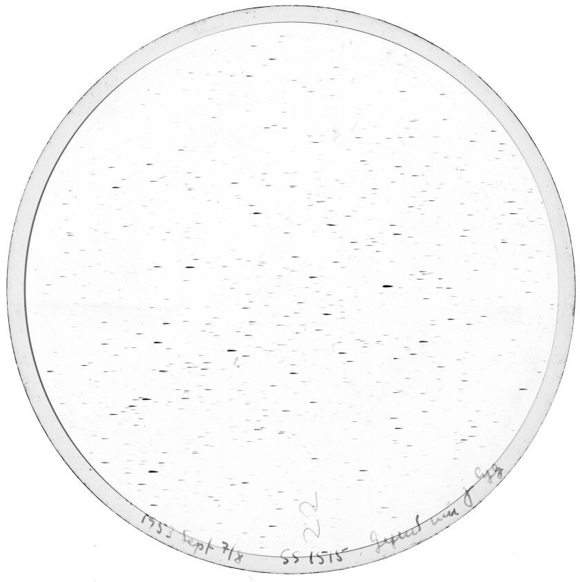 Plate preview