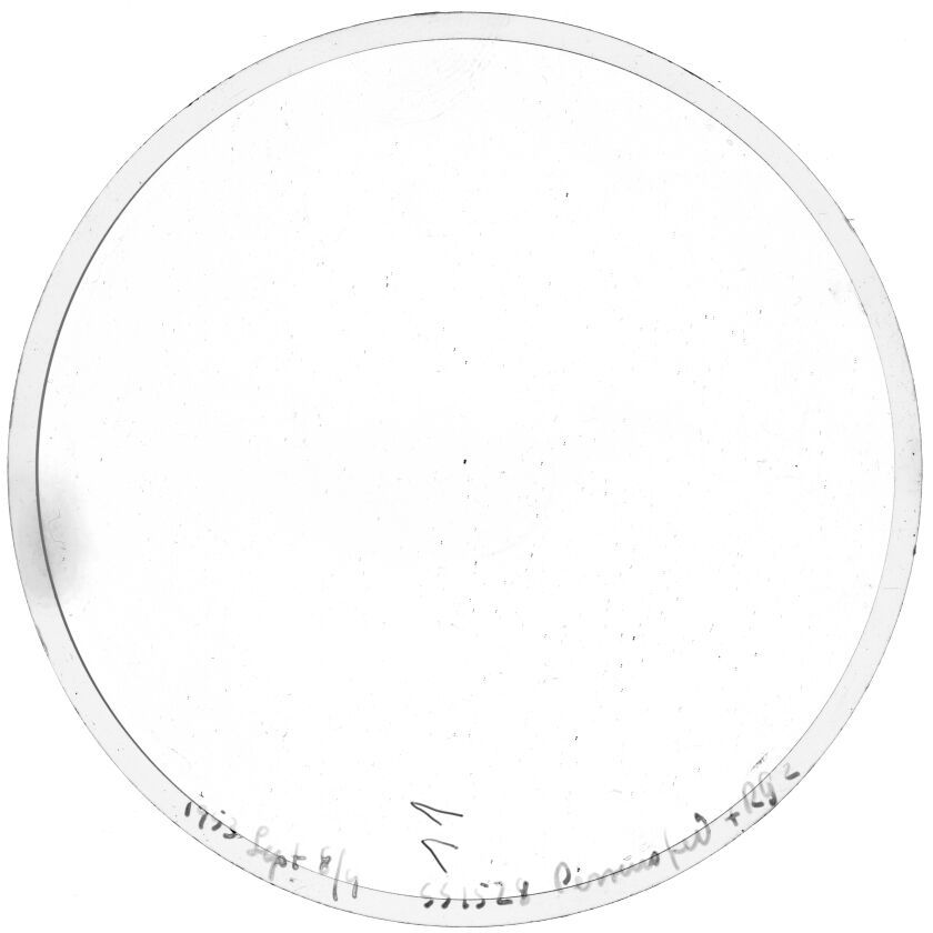 Plate preview