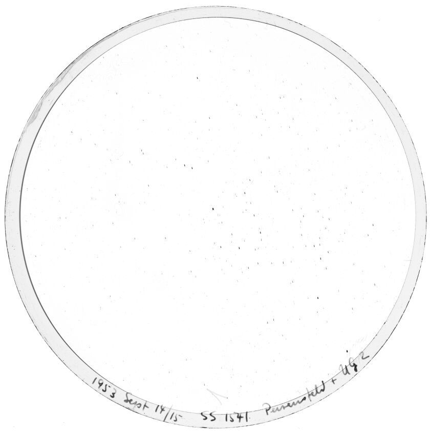 Plate preview
