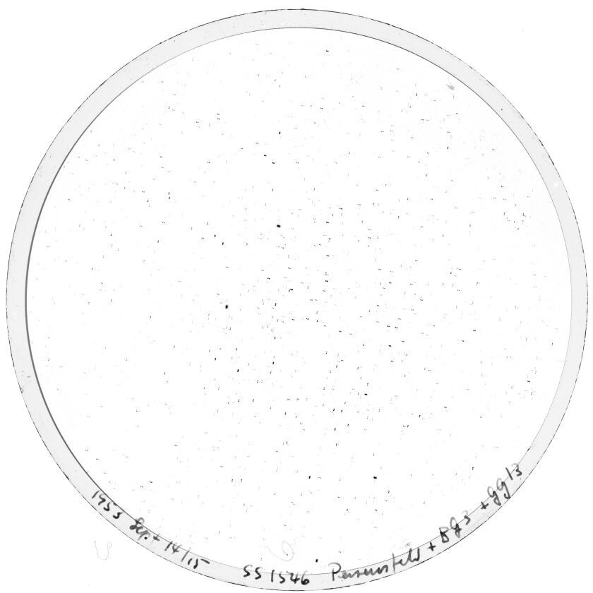 Plate preview