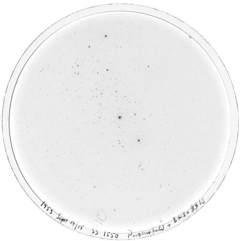 Plate preview