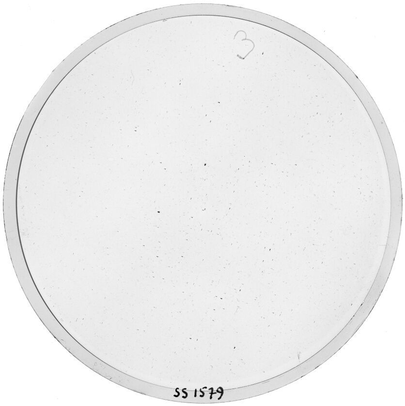 Plate preview