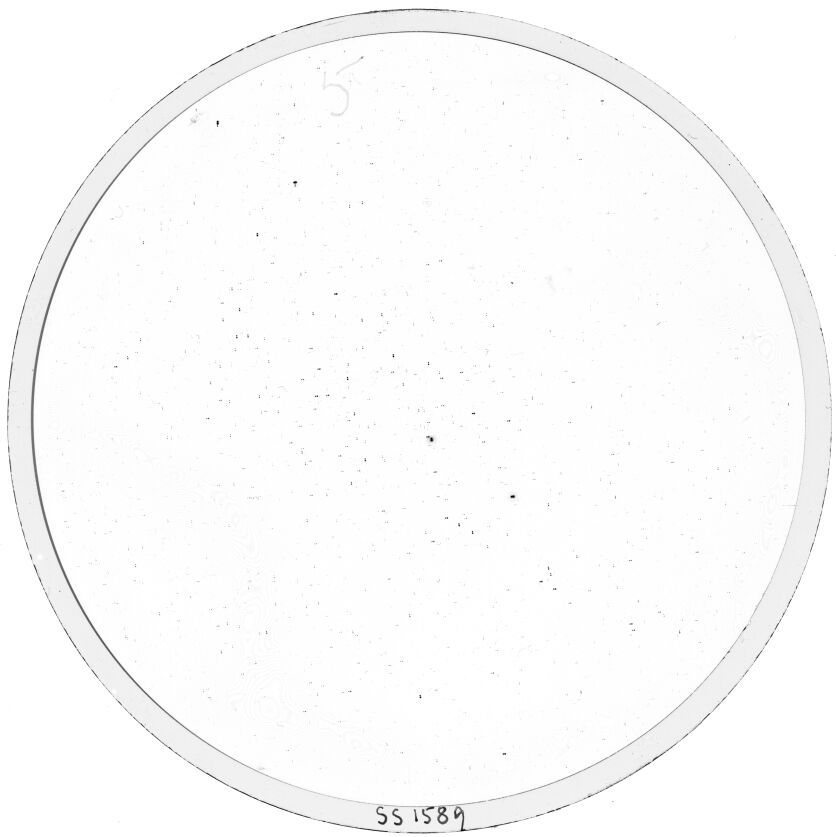Plate preview