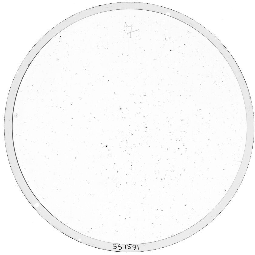 Plate preview
