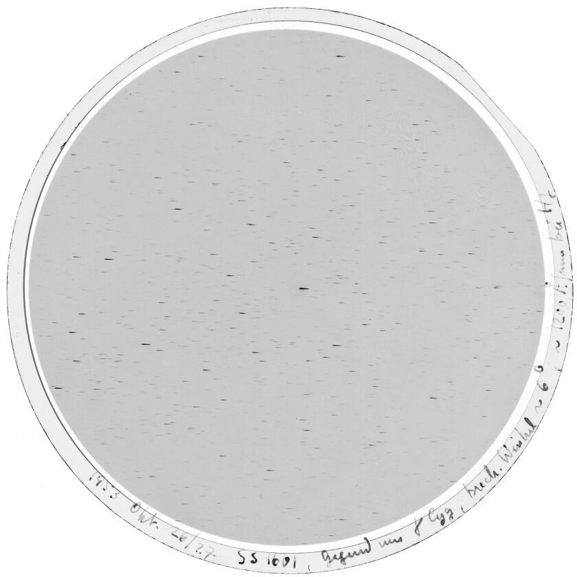 Plate preview