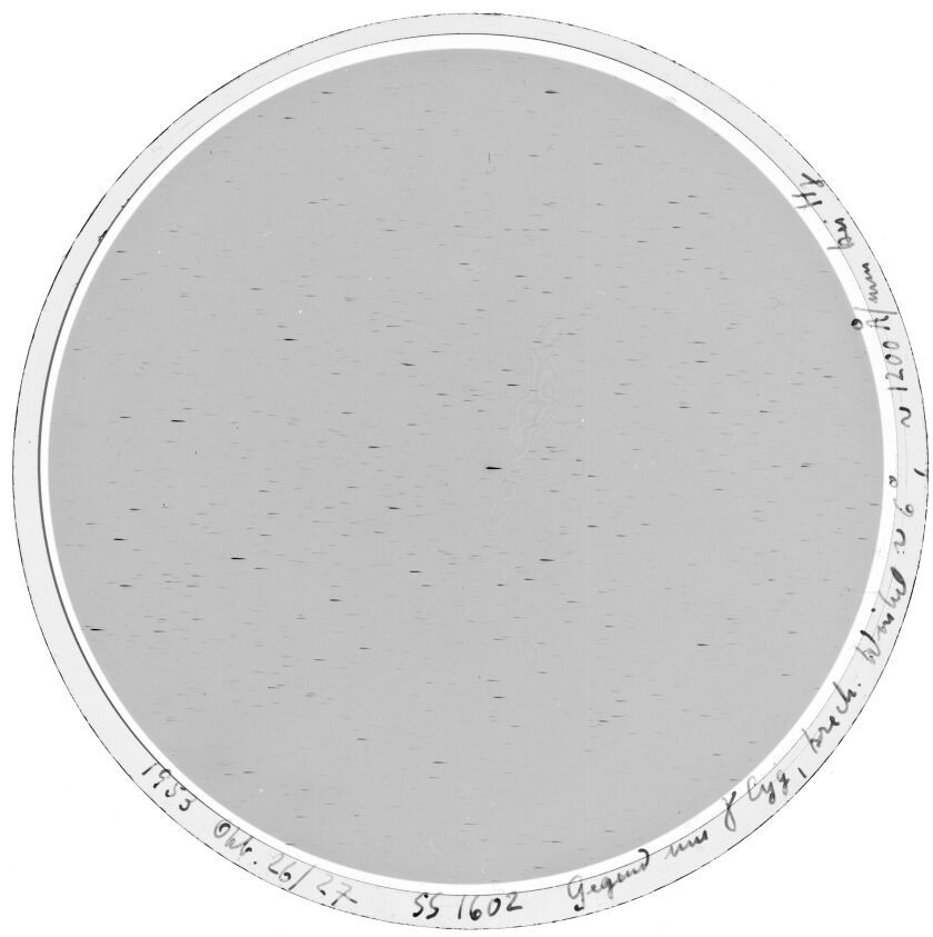 Plate preview