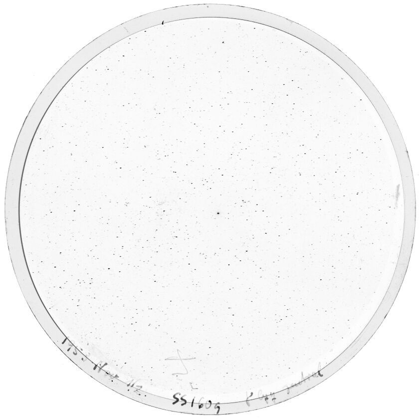 Plate preview