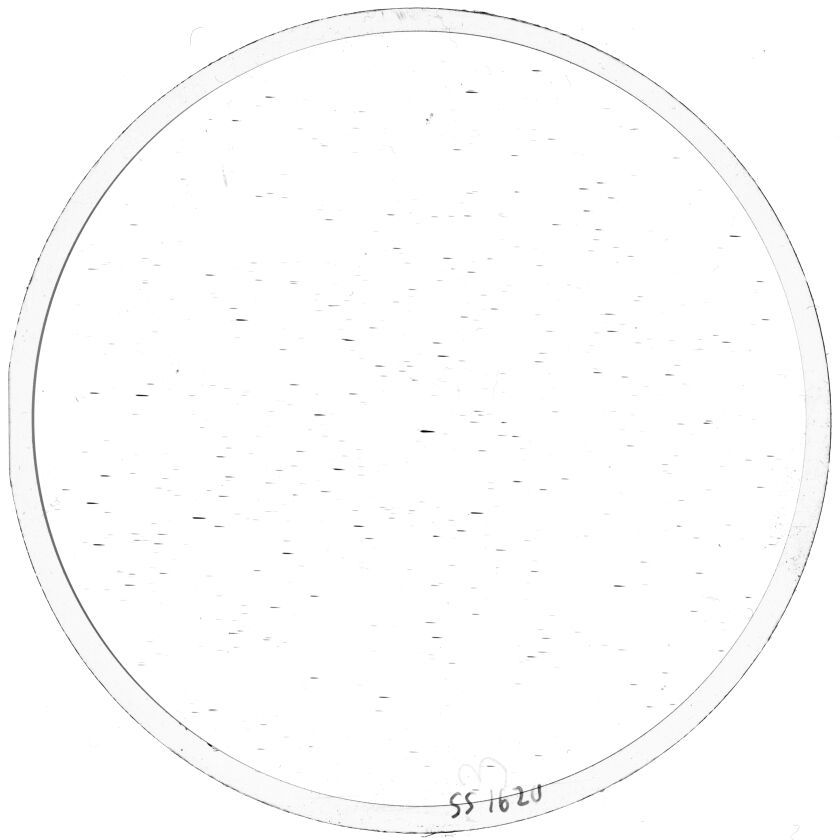 Plate preview