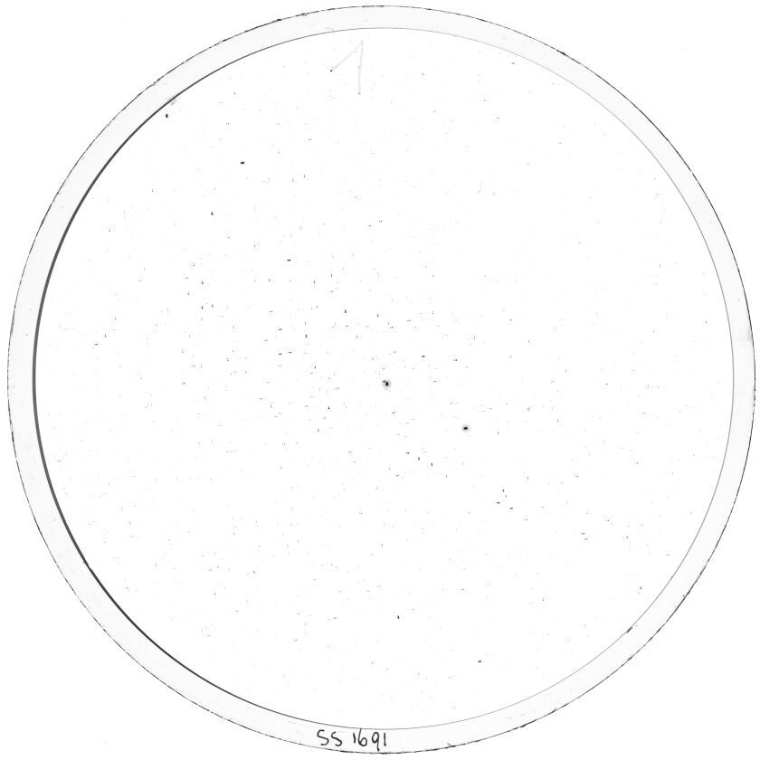 Plate preview