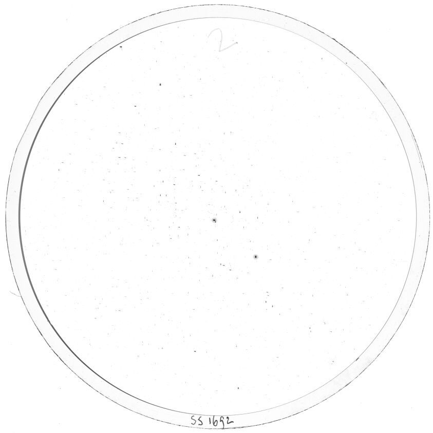 Plate preview