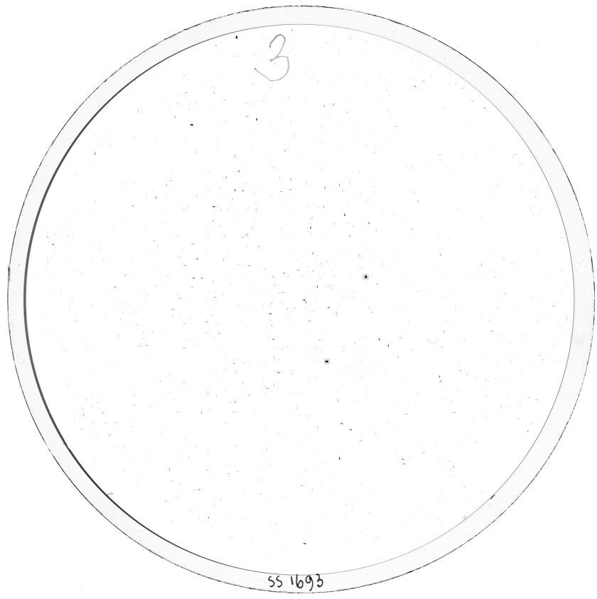 Plate preview