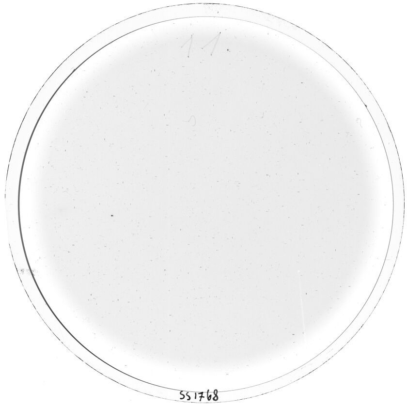 Plate preview
