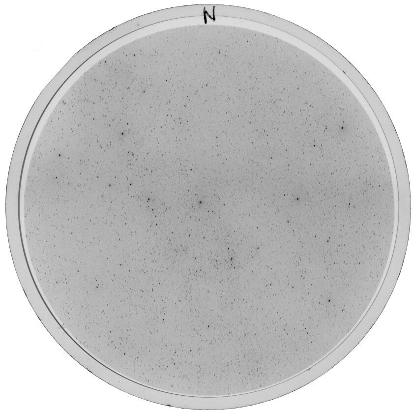 Plate preview