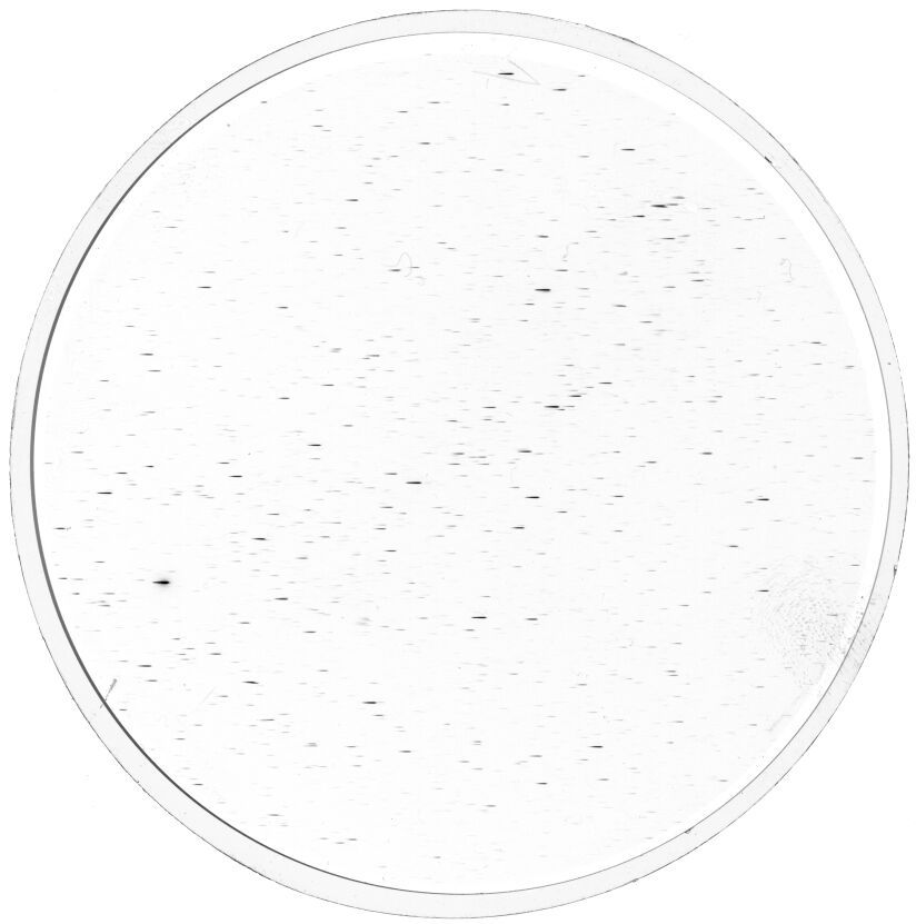 Plate preview