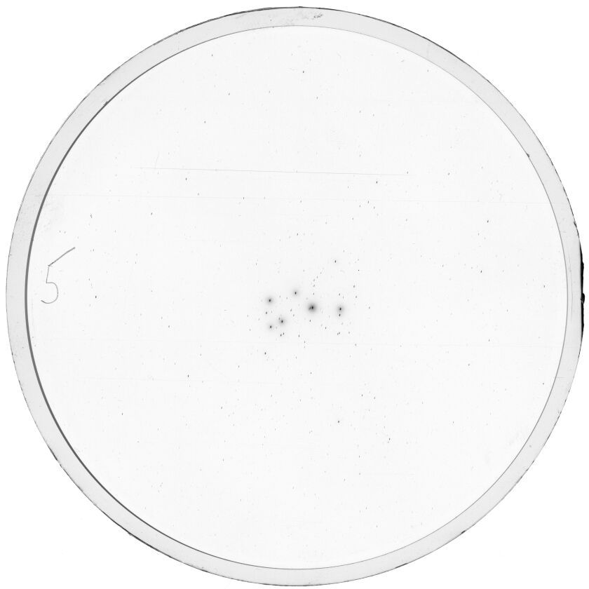 Plate preview