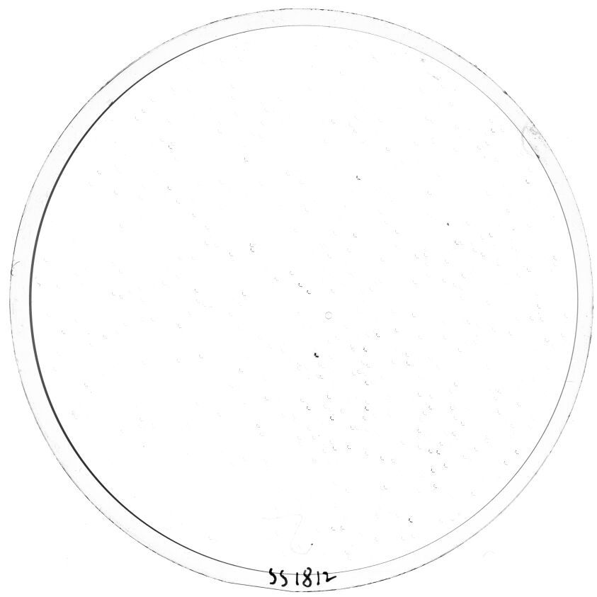 Plate preview