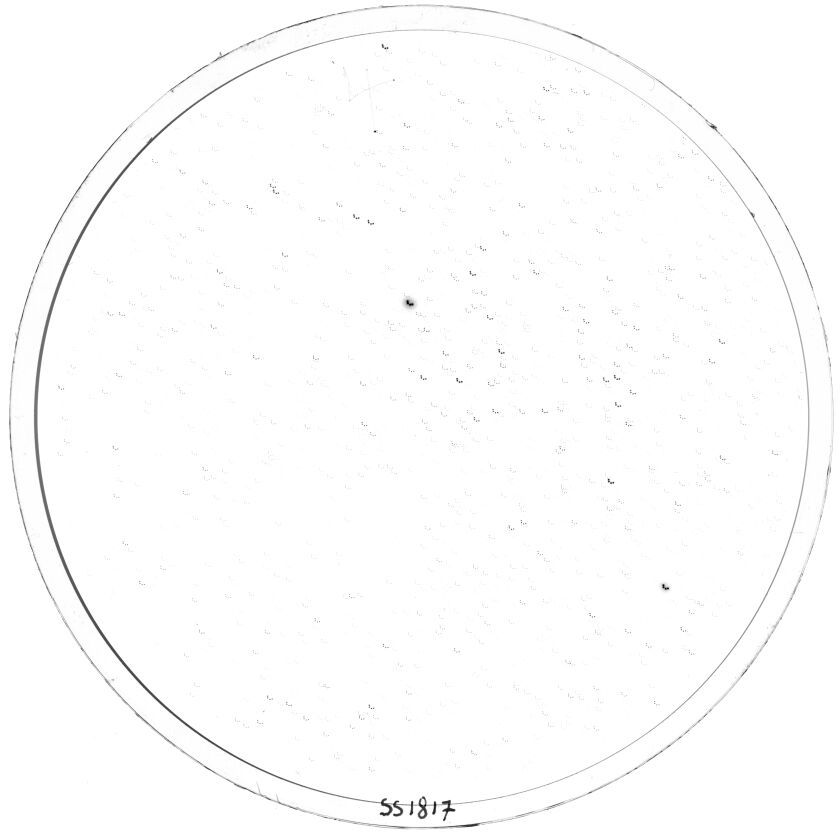 Plate preview