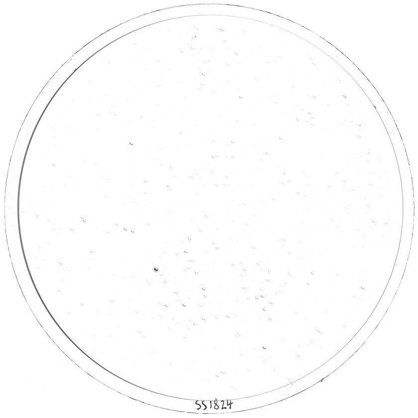 Plate preview