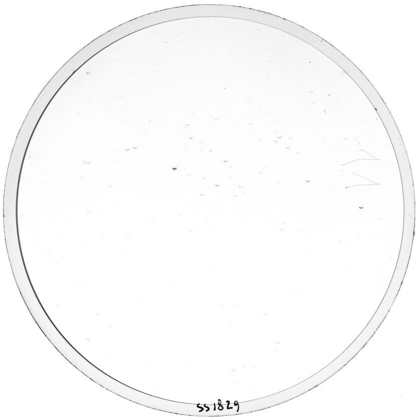 Plate preview