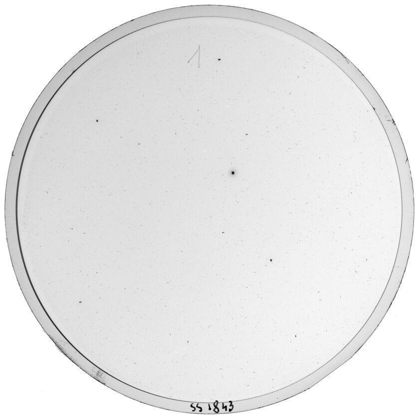 Plate preview