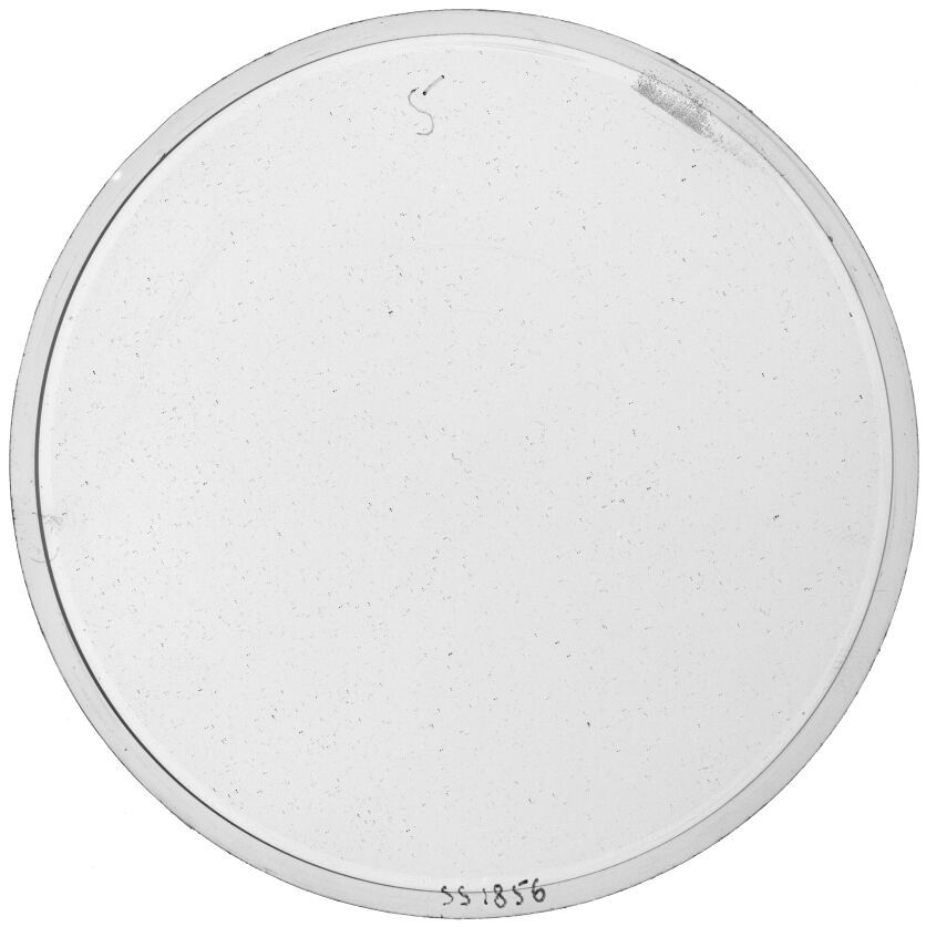 Plate preview