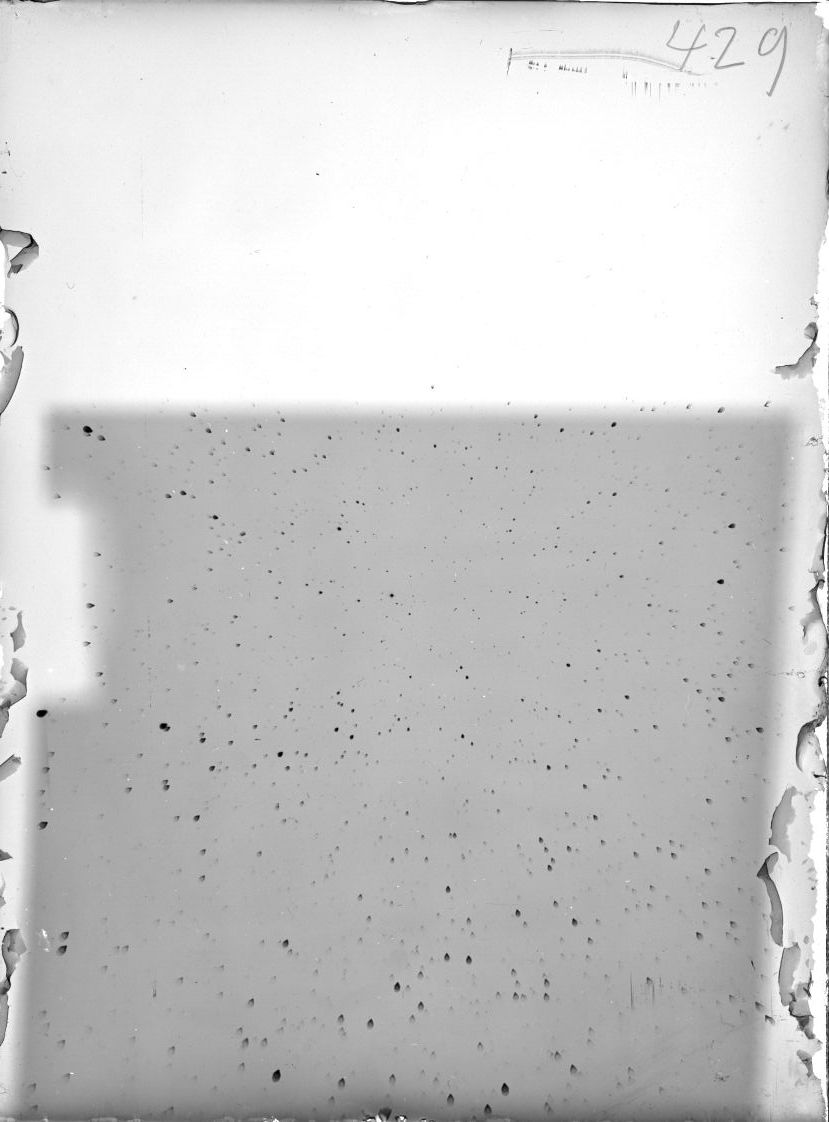 Plate preview