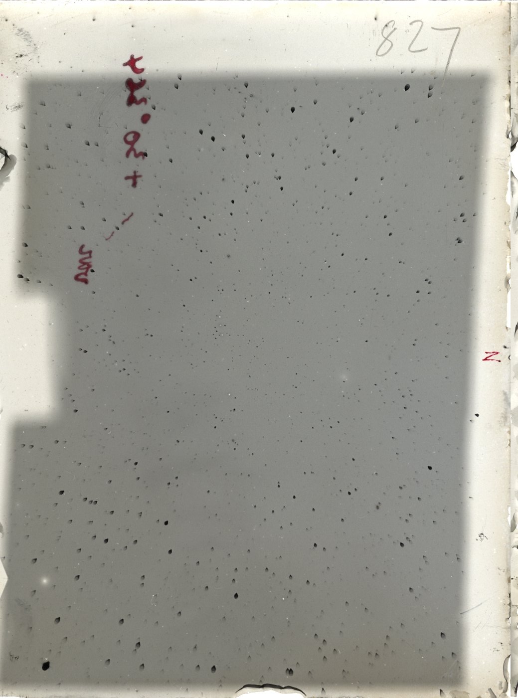 Plate preview