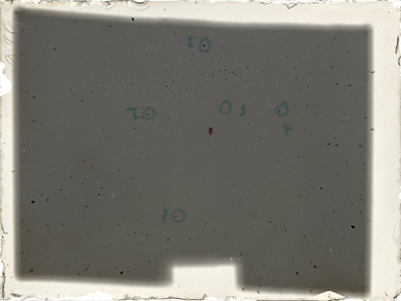 Plate preview