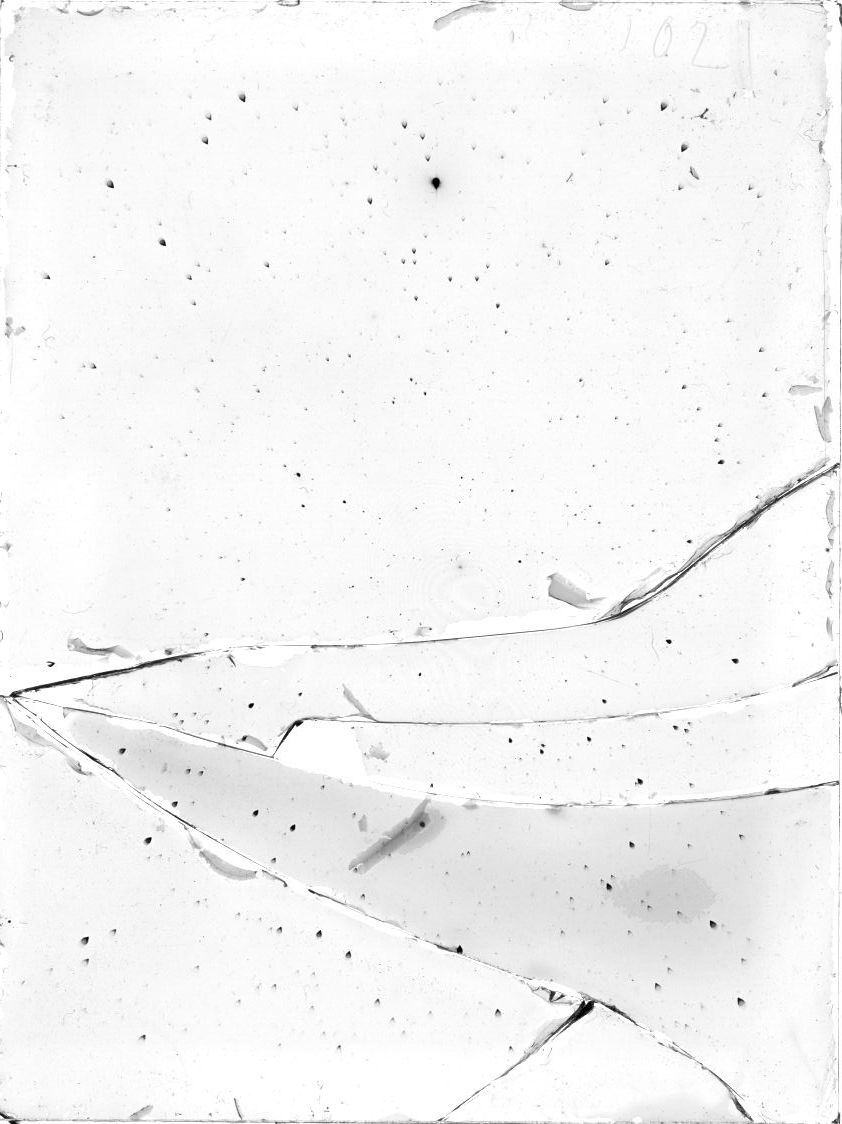 Plate preview