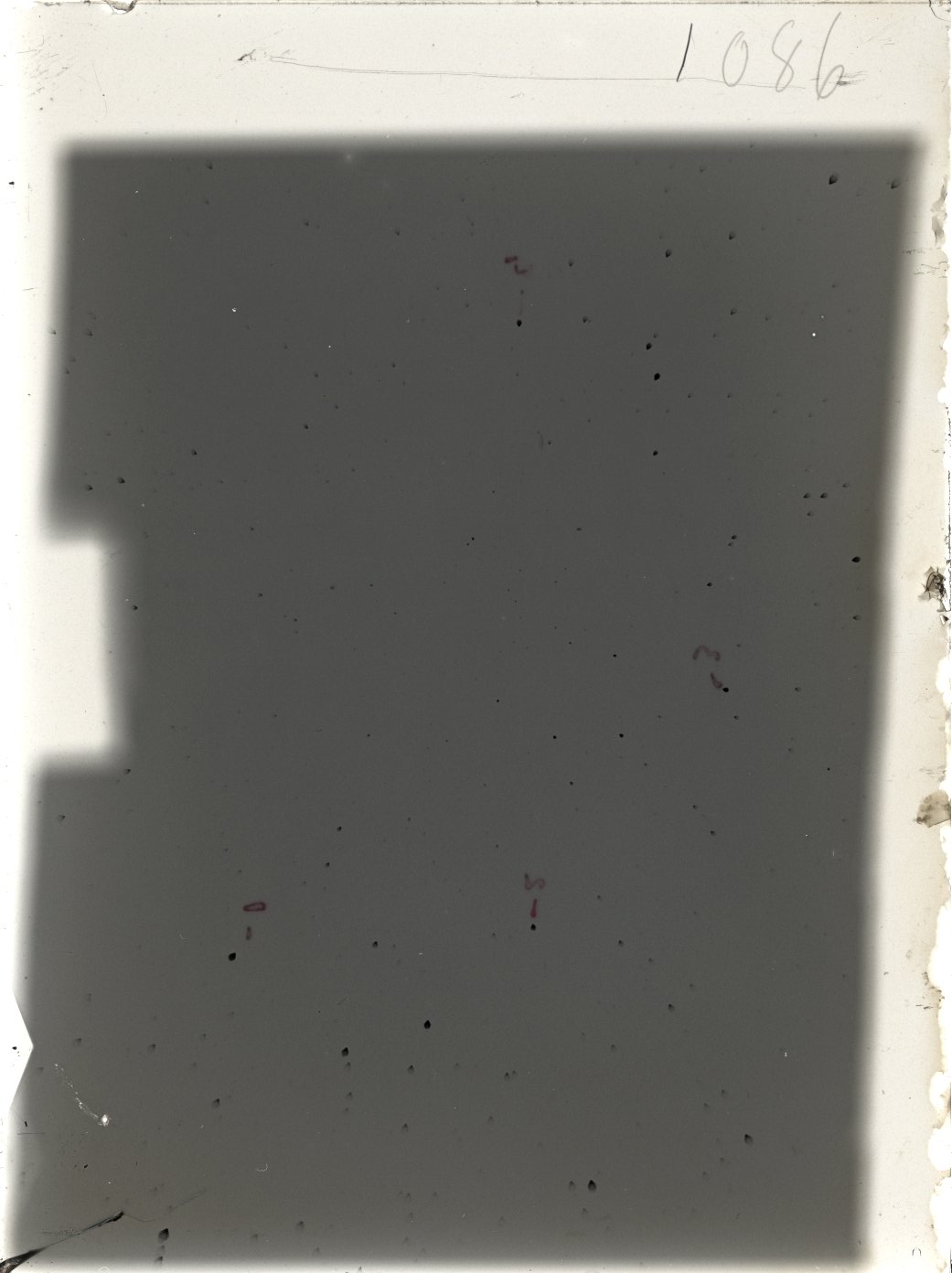 Plate preview