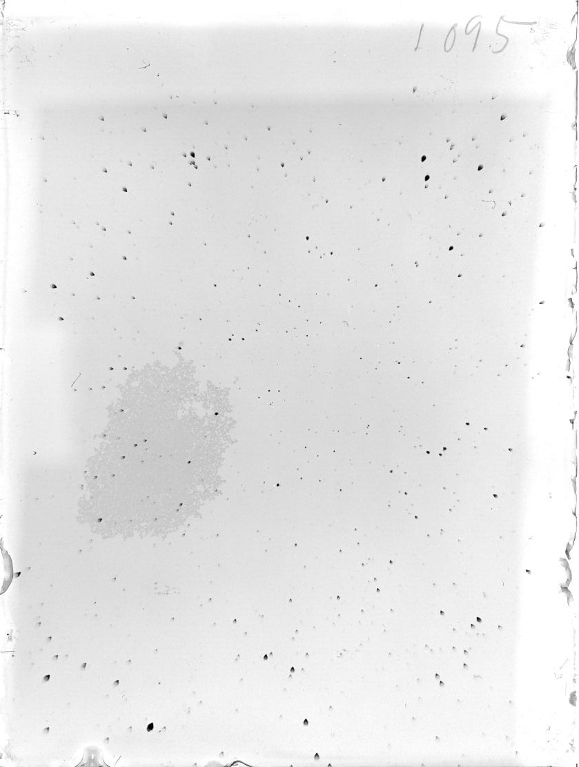 Plate preview